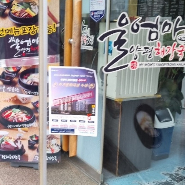 대전시전단지
