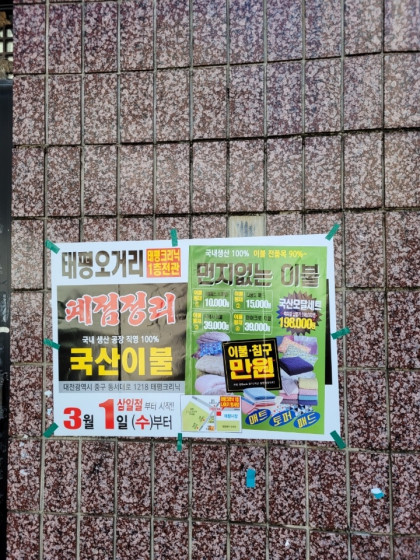 대전시전단지
