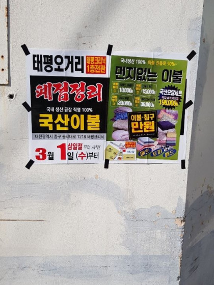 대전시전단지