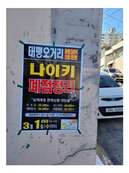 대전시전단지
