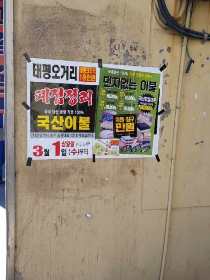 대전시전단지