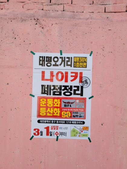 대전시전단지